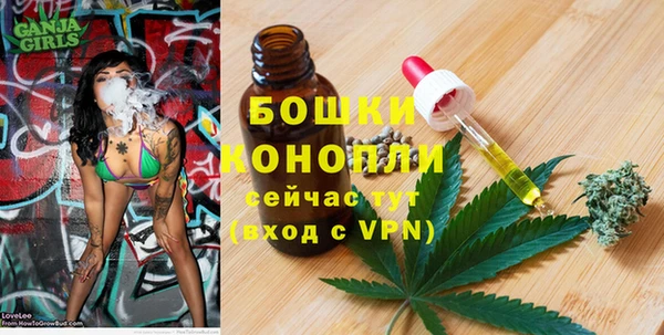 прущий лед Лагань