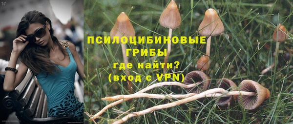гашик Лабытнанги