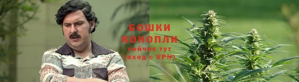 гашик Лабытнанги