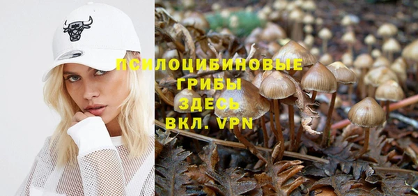 гашик Лабытнанги