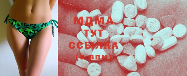 МДПВ Нея