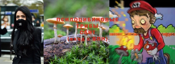 прущий лед Лагань
