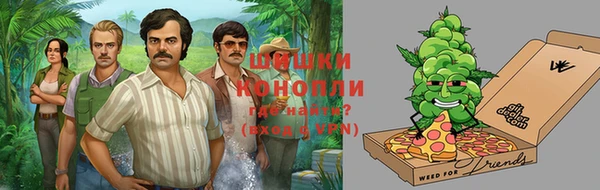 гашик Лабытнанги