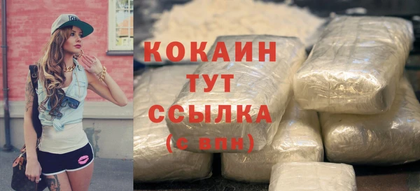 дмт Ладушкин