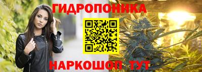 ECSTASY Гусев