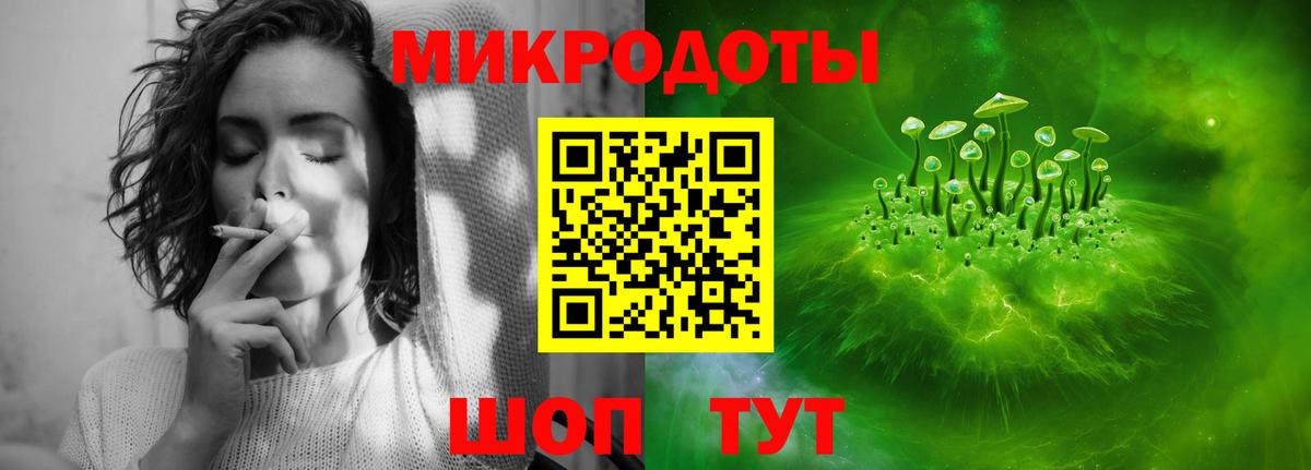 Псилоцибиновые грибы Cubensis Сухой Лог